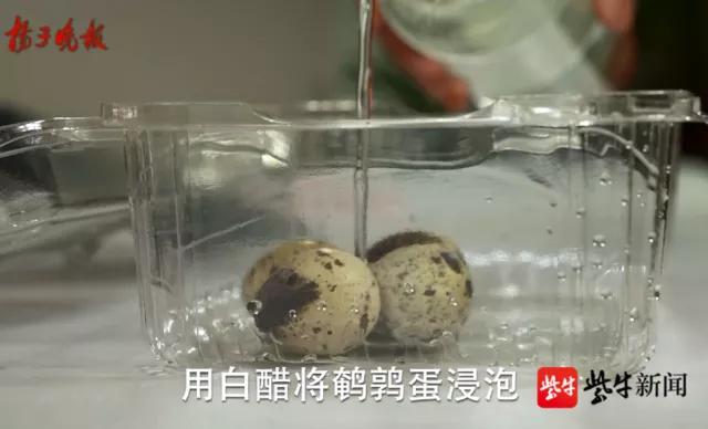 美白牙膏刷鹌鹑蛋视频,牙膏刷掉鹌鹑蛋斑点是什么原理