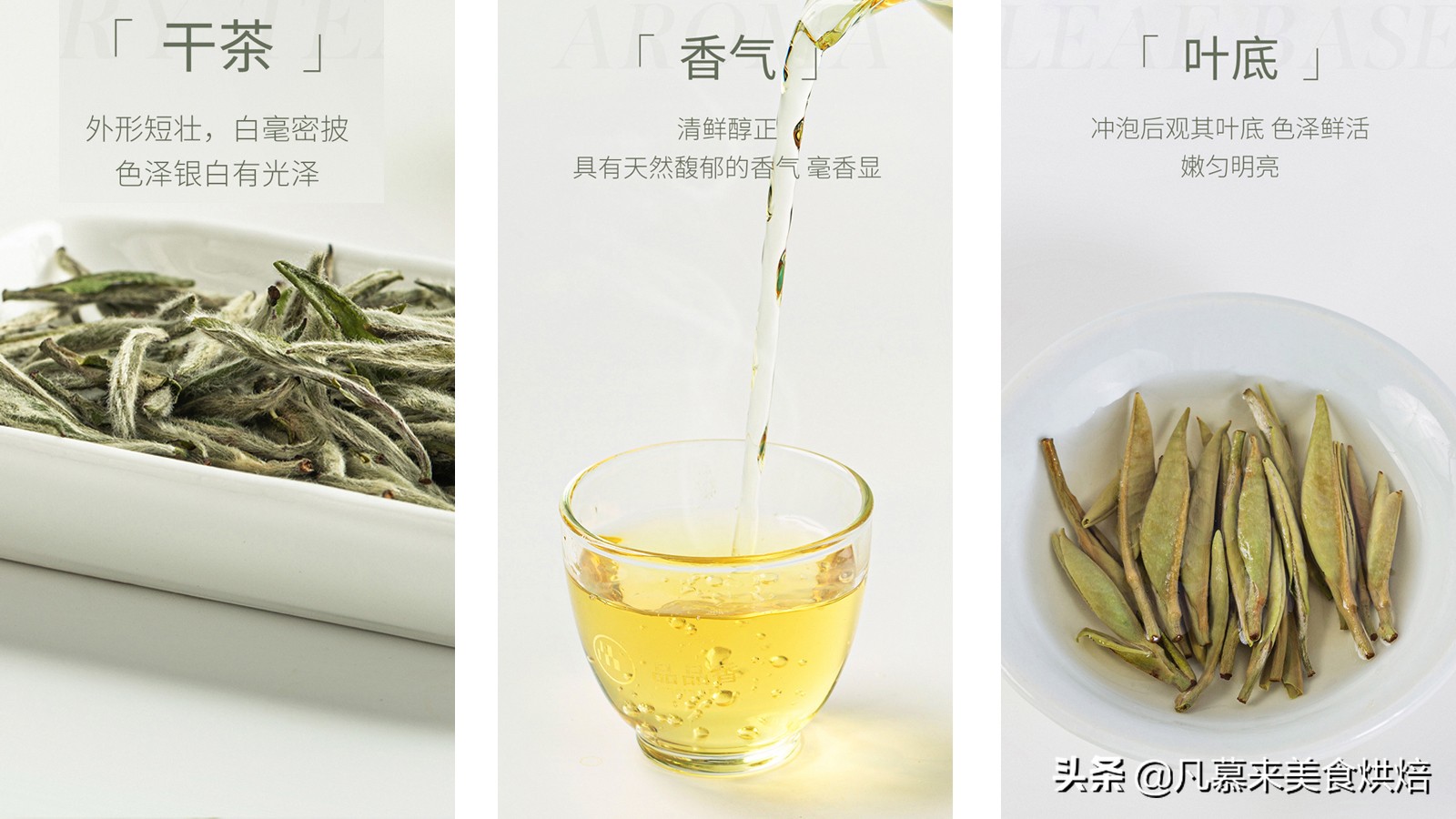 什么品种的茶叶最好喝,中国十大名茶哪种茶叶最好喝