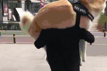 平时瓶盖都拧不开的小女生,平时拧不开瓶盖的女孩原视频