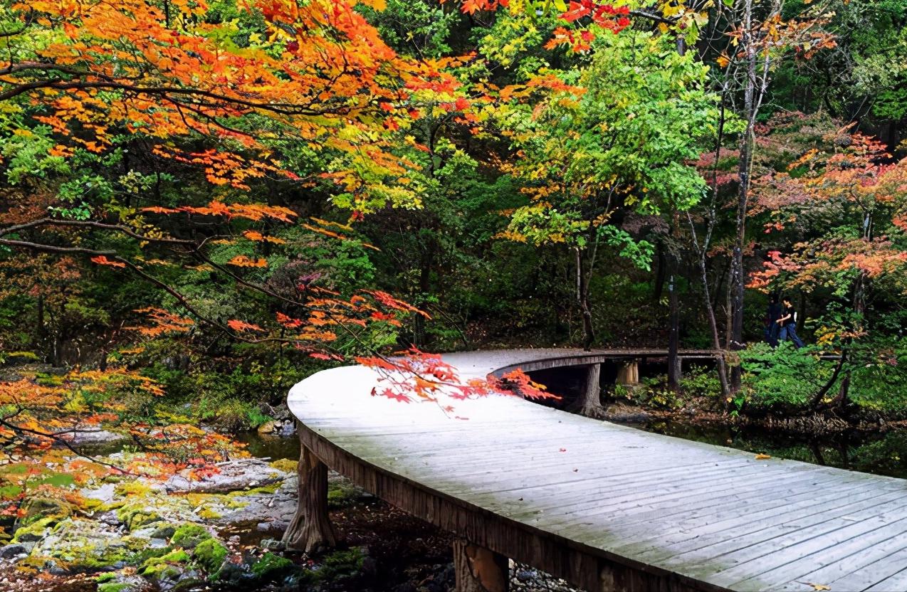 浅谈全国各省份,辽宁省本溪市地域分析