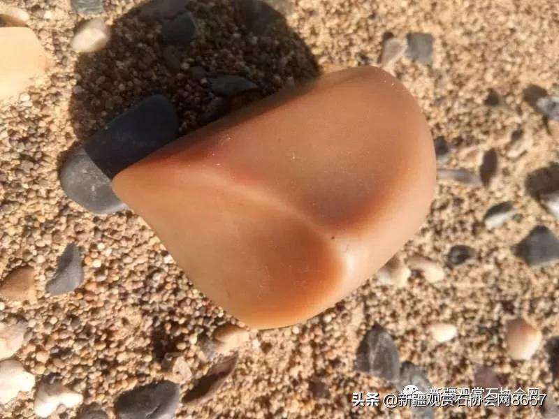 新疆戈壁精灵蛋白石,戈壁蛋白石怎么清洗