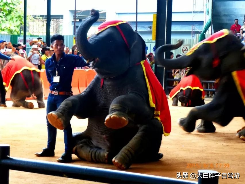 泰国风情之旅完整版小说,泰国风情十日游