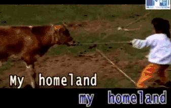 为什么喜欢腾格尔,外国人为什么喜欢腾格尔