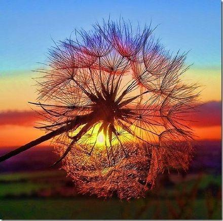 没有白费的努力就没有必然的成功,人生没有白费的努力与碰巧的成功