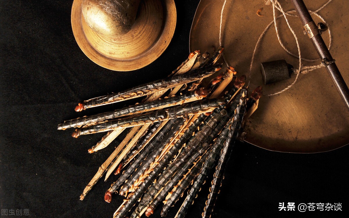 中医奇闻阴阳人,关于中医的奇闻趣事