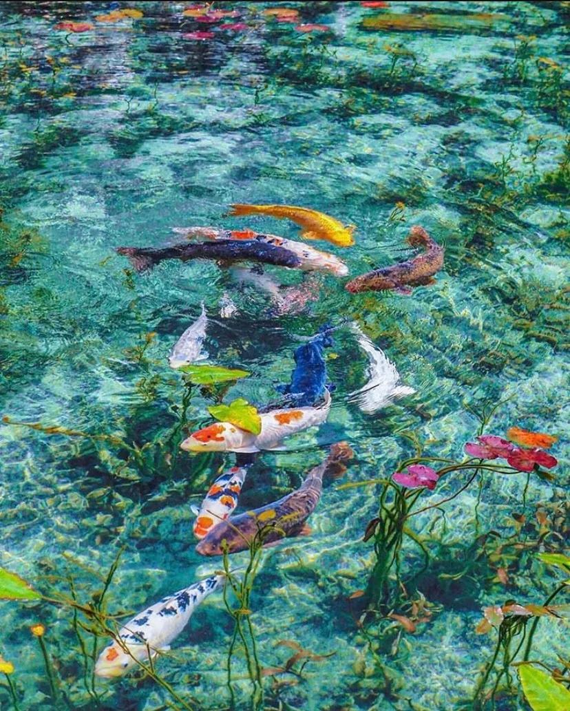 日本小众的好地方,日本最小众的地方