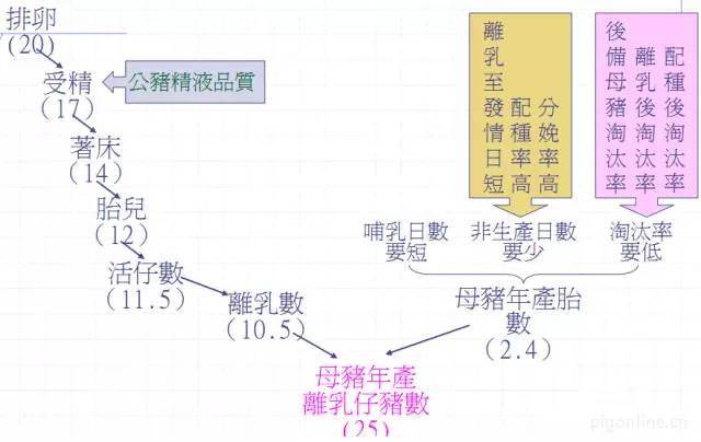 母猪不发情吃什么药,母猪为什么不生崽