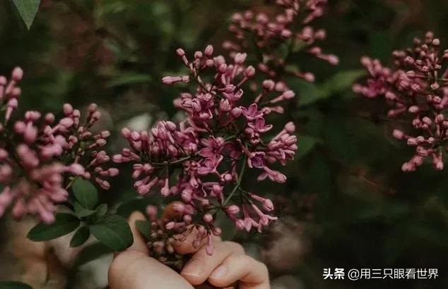 ​有些小事很小，坚持下来也能变成修行