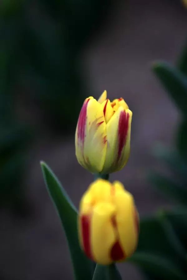 北京房山团建踏青地点推荐,北京房山春季旅游最佳去处