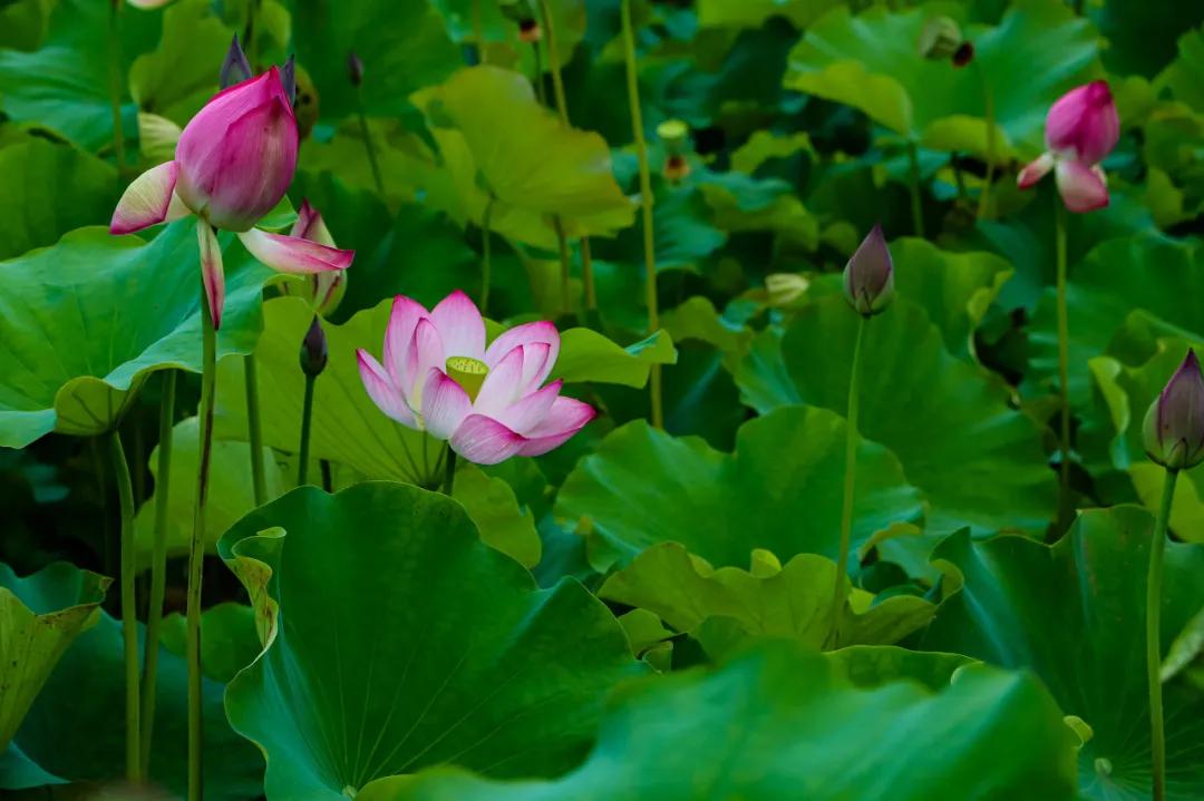 这个夏天一定不要出去玩,这个季节不要去的三个地方