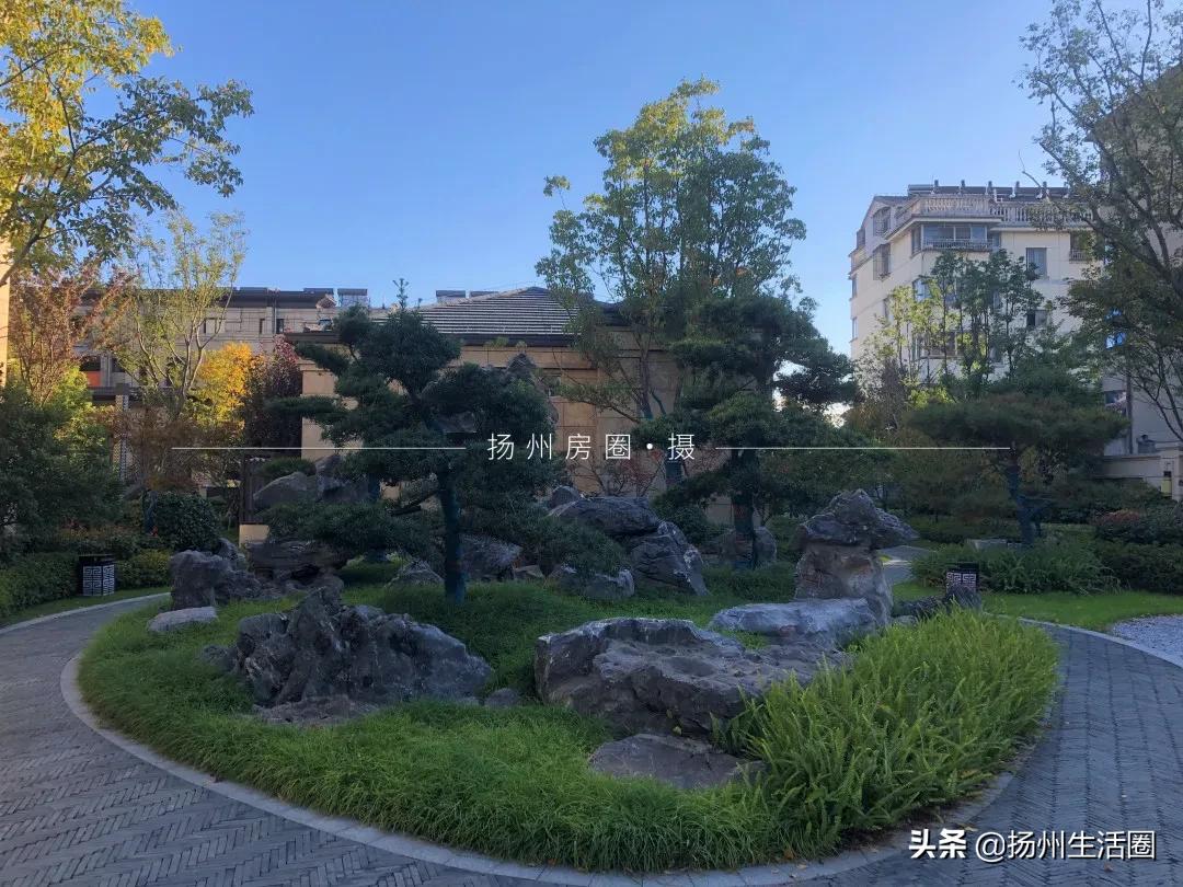 美到极致的园林景观！被扬州这个小区圈粉了！内部细节曝光