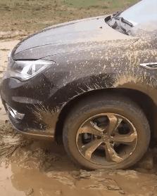 如何清理运动鞋推荐的鞋垫,洗运动鞋鞋垫的方法