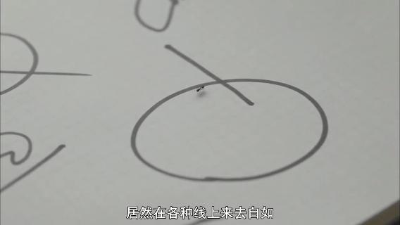 像乌鸦一样思考20集完整版中文,像乌鸦一样思考纪录片全集国语版