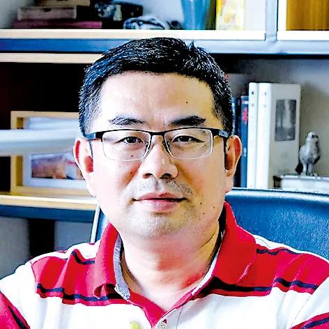 雷士欧普三雄极光哪个好,雷士照明和三雄极光射灯哪个好