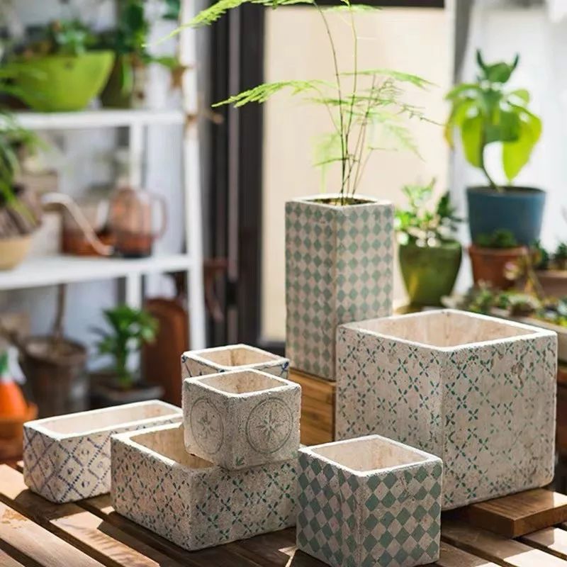 冬天屋内适合什么绿植加湿,冬天室内干燥怎么加湿植物