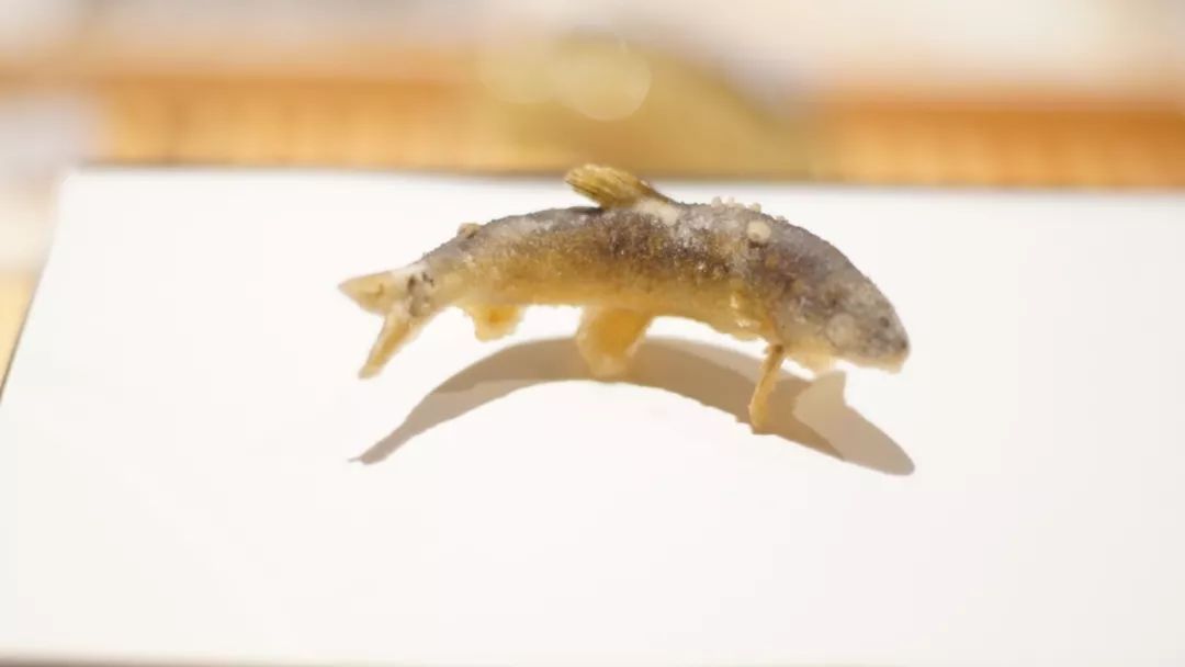 海错图爱情笔记写的是什么,海错图笔记中的错