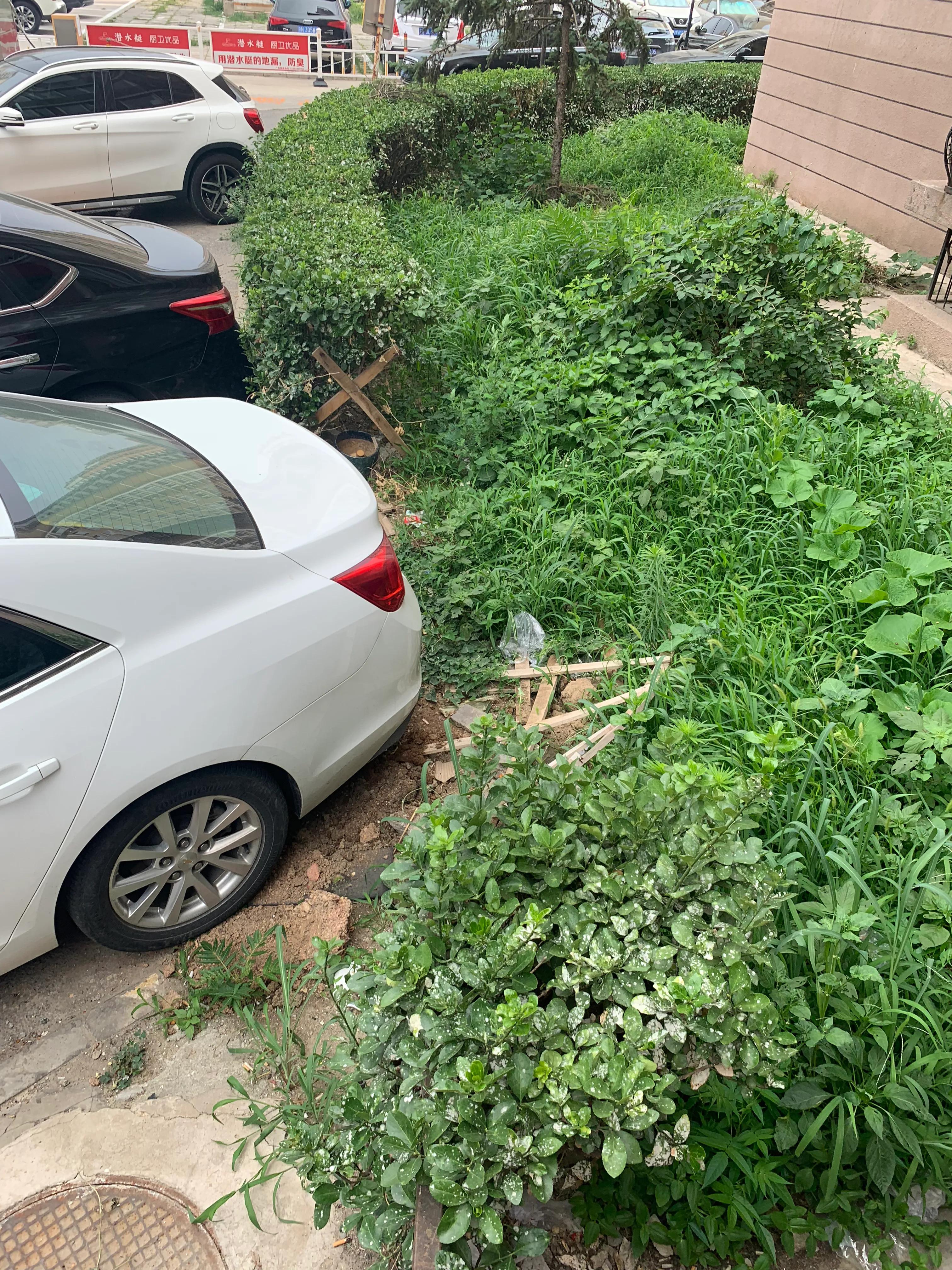 北京朝阳区九龙花园房价,北京九龙花园小区环境