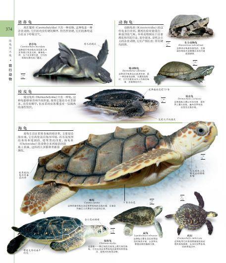 涔愰珮鎼缓鍏ラ棬涔︾睄鎺ㄨ崘,涔愰珮鎼缓涔︾睄鎺ㄨ崘