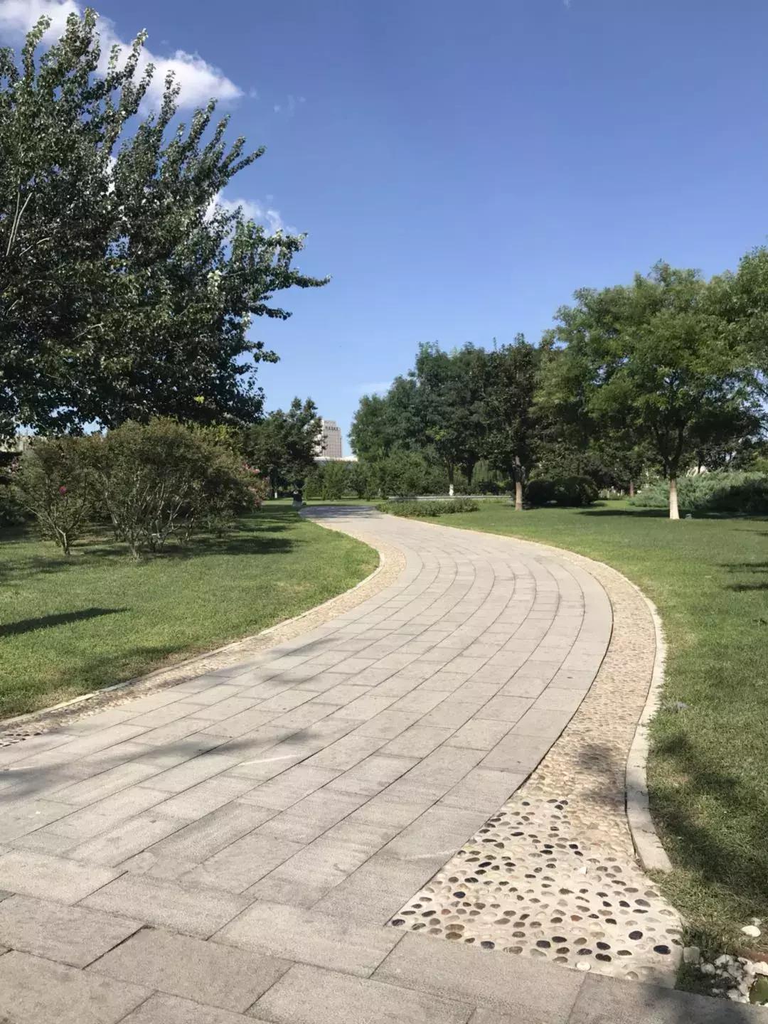 天津哪几个博物馆一定要去,必去天津各大博物馆