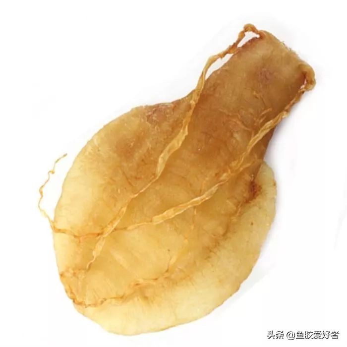 花胶选择指南如何挑选最好的花胶,2千元以内的花胶怎么挑选