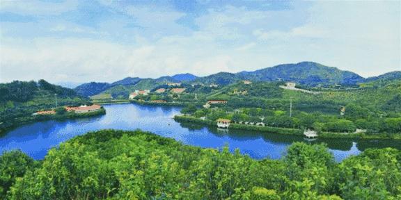 对不起，我要回梅州了上