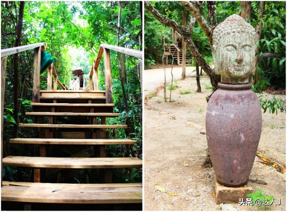 小天越南直播,小天独家视频全集