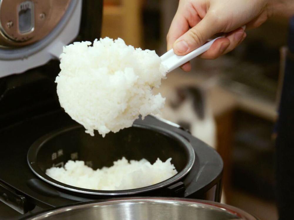 租房做饭哪些电器最实用学生,租房必备电器推荐一下