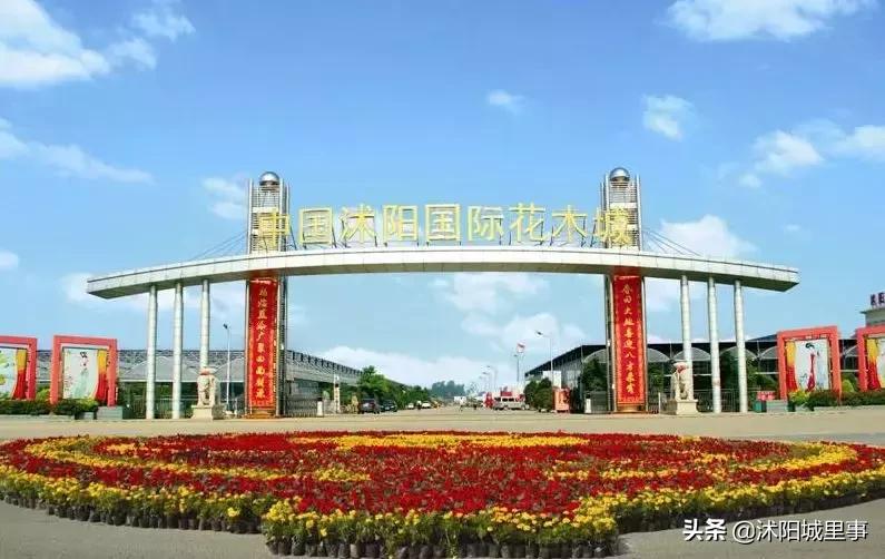 沭阳区划历史,沭阳原来有哪些乡镇