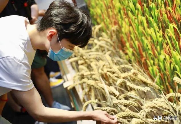 肖战受访视频公开,确认有两部作品将播,坦言很怀念忙碌的自己