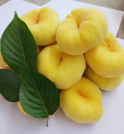 蟠桃选黄色的还是红色的,买蟠桃怎么选出来的蟠桃最甜