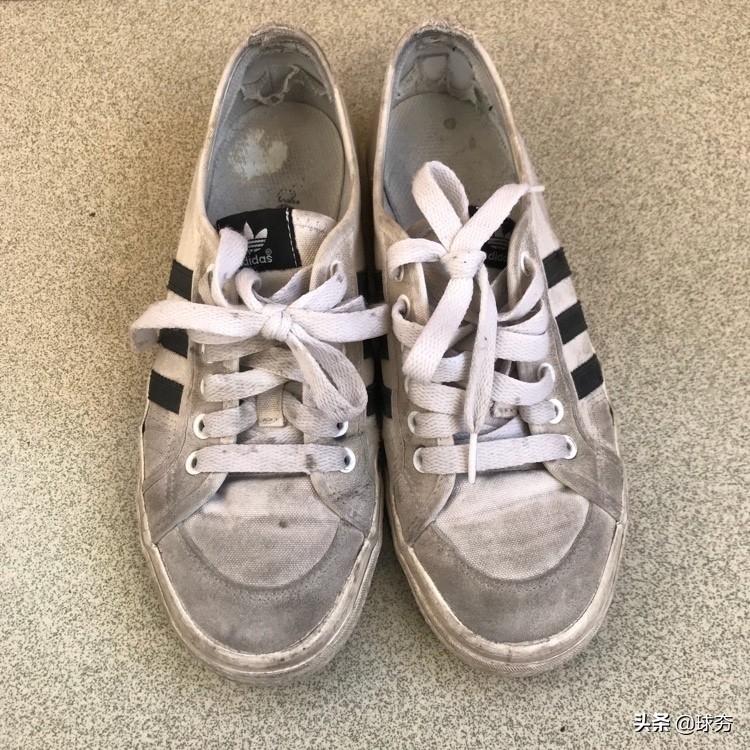 三叶草最骚气的鞋,三叶草新款测评