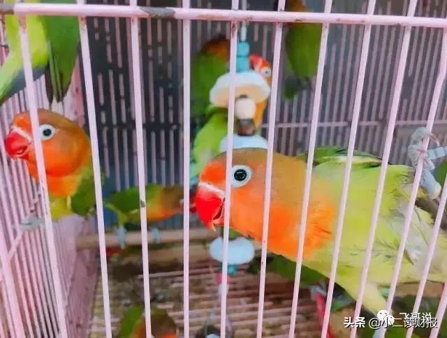 成都附近各大批发市场,成都第一大批发市场