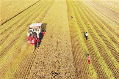 落实“两个高质量”打赢“三大攻坚战”打造天蓝地绿水清民富美丽家园幸福家园——唐河县政府工作报告解读