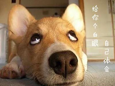 谱不求全，贵在精妙