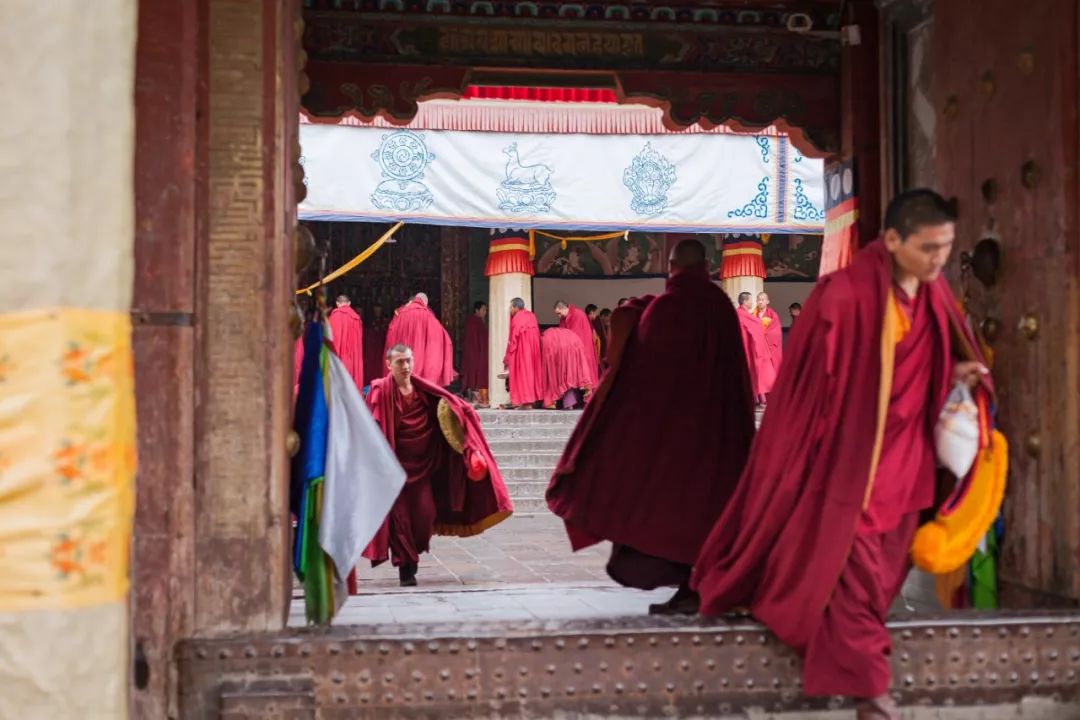只要你面朝青海湖，八月依旧春暖花开