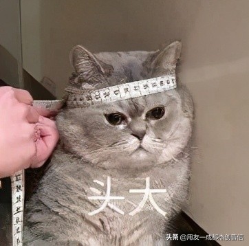 一个做肉类批发的生鲜店，凭啥火爆广州？