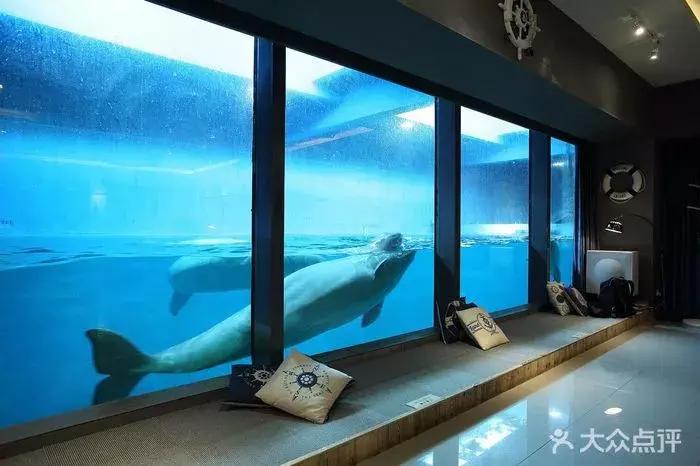 这个夏日25°C的宝藏城市美炸了！海岛、万国建筑、叮叮车..想去