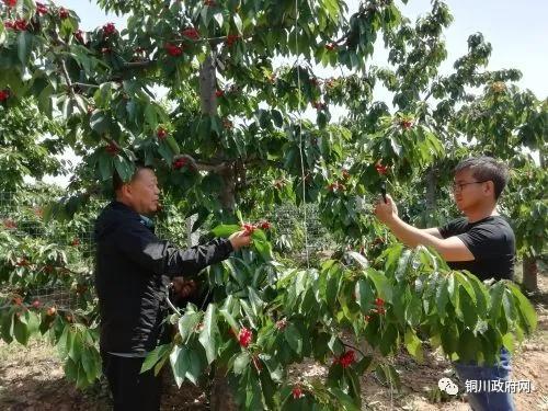 脱贫攻坚直播带货给家乡产品代言,决胜脱贫攻坚直播间