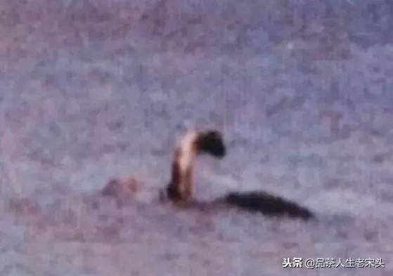 最新世界十大“怪”，最后一个太绝了！
