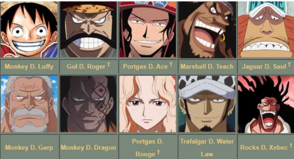 海迷的提问,海米对路飞的评价