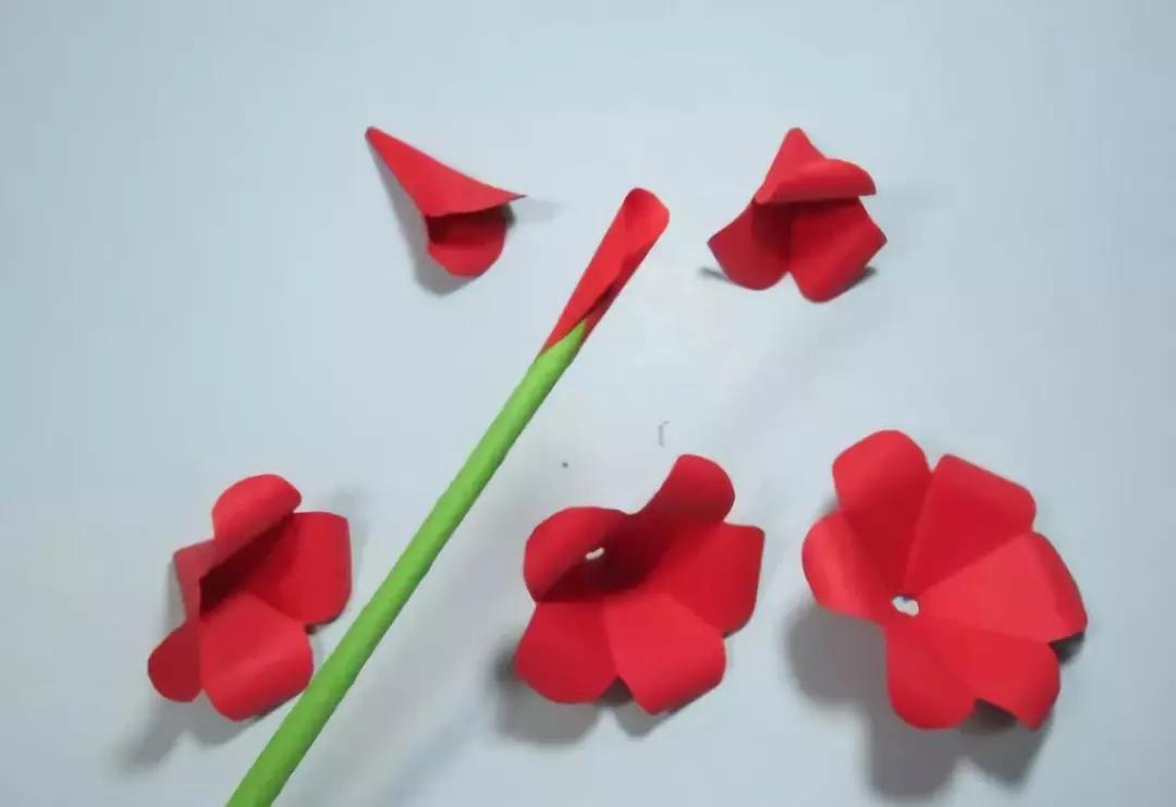 有颜色的玫瑰是怎么做出来的,白玫瑰怎么做七彩玫瑰