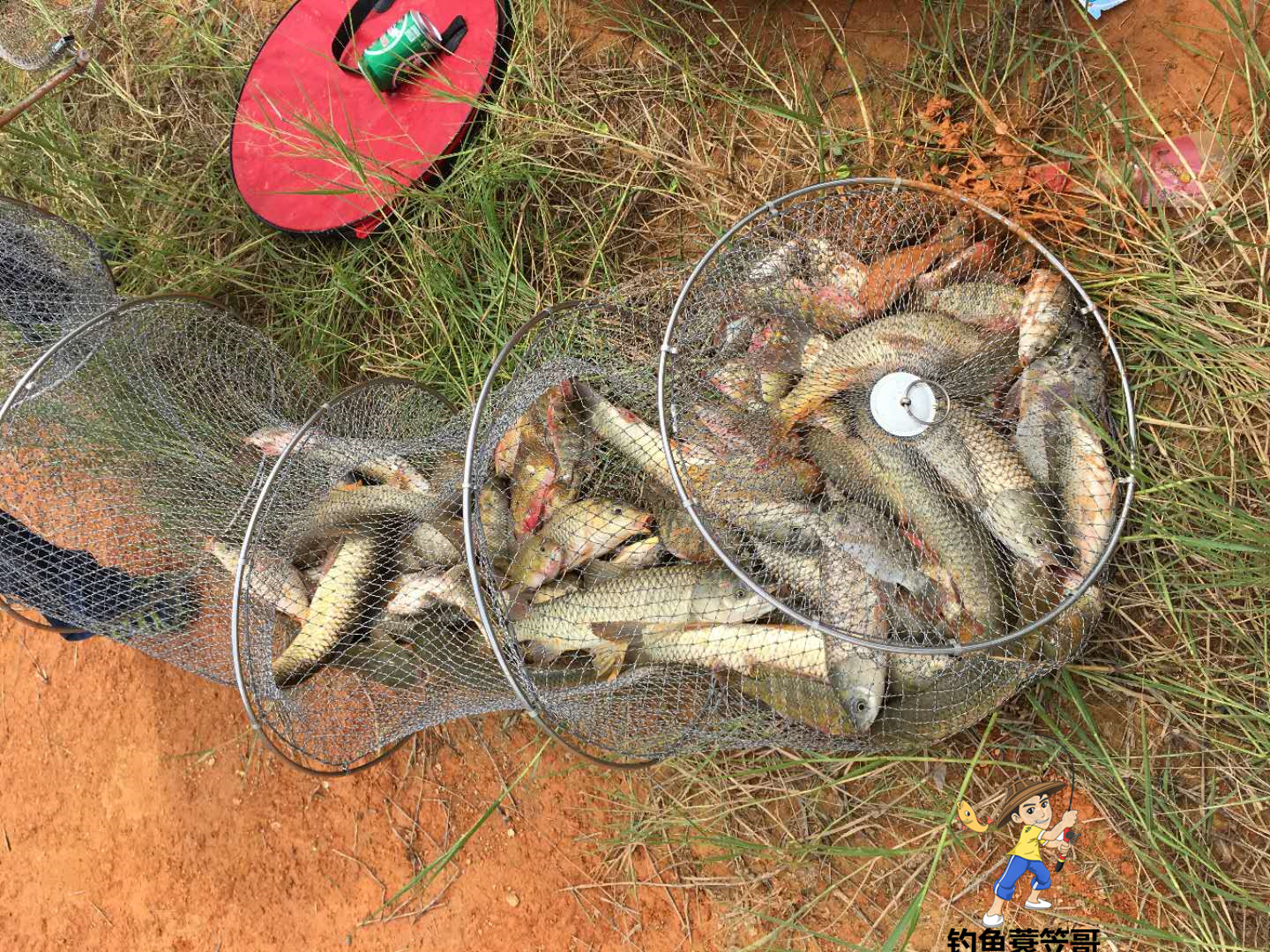 不用白酒也能做的钓鱼小药,冬季实测有效钓鱼的小药