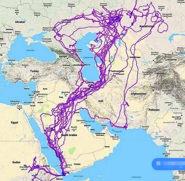 野外发现一只老鹰,用无人机飞到山上发现一只老鹰