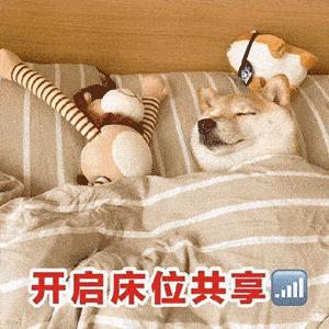 可爱小猫表情包搞笑图片,开心表情包可爱搞笑图片