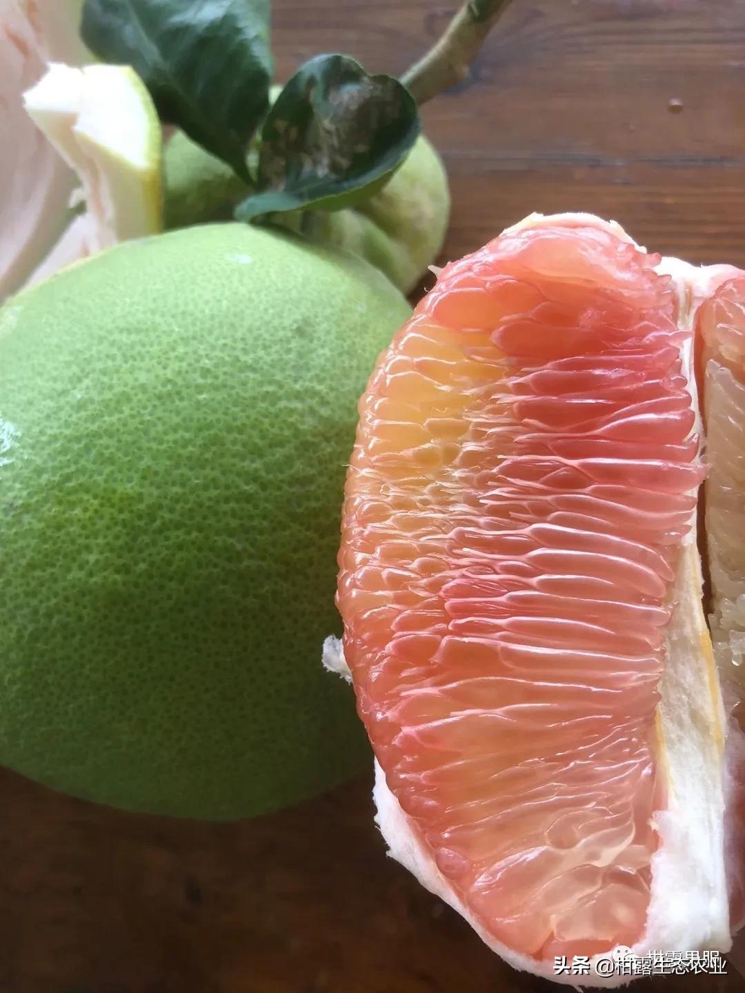 泰国红宝石柚2020价格,泰国红宝石柚树低价出售