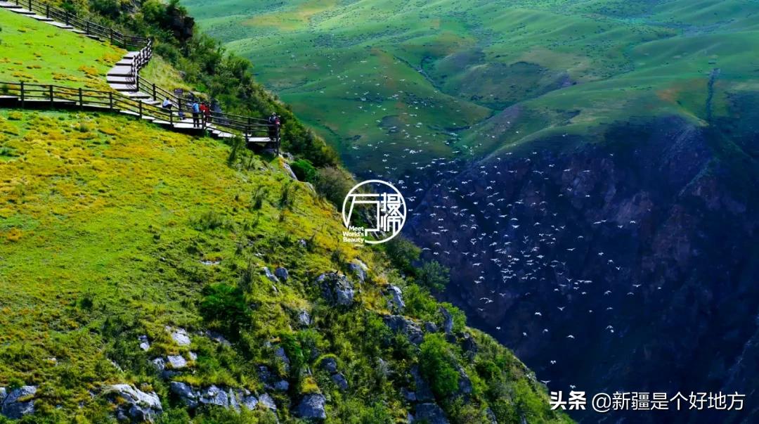 百名达人晒家乡|万摄师：遇见世界的美好