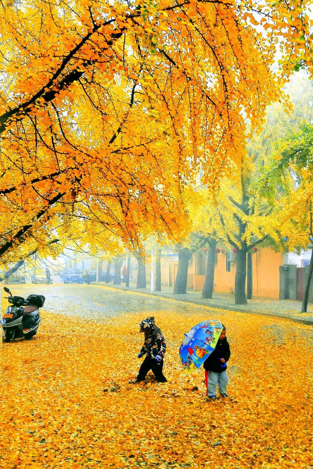 旅顺自然保护区,旅顺文物保护区