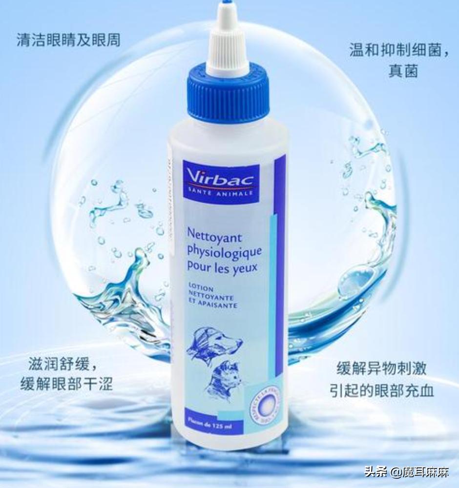 养猫常备哪些药品,家里养猫常备药