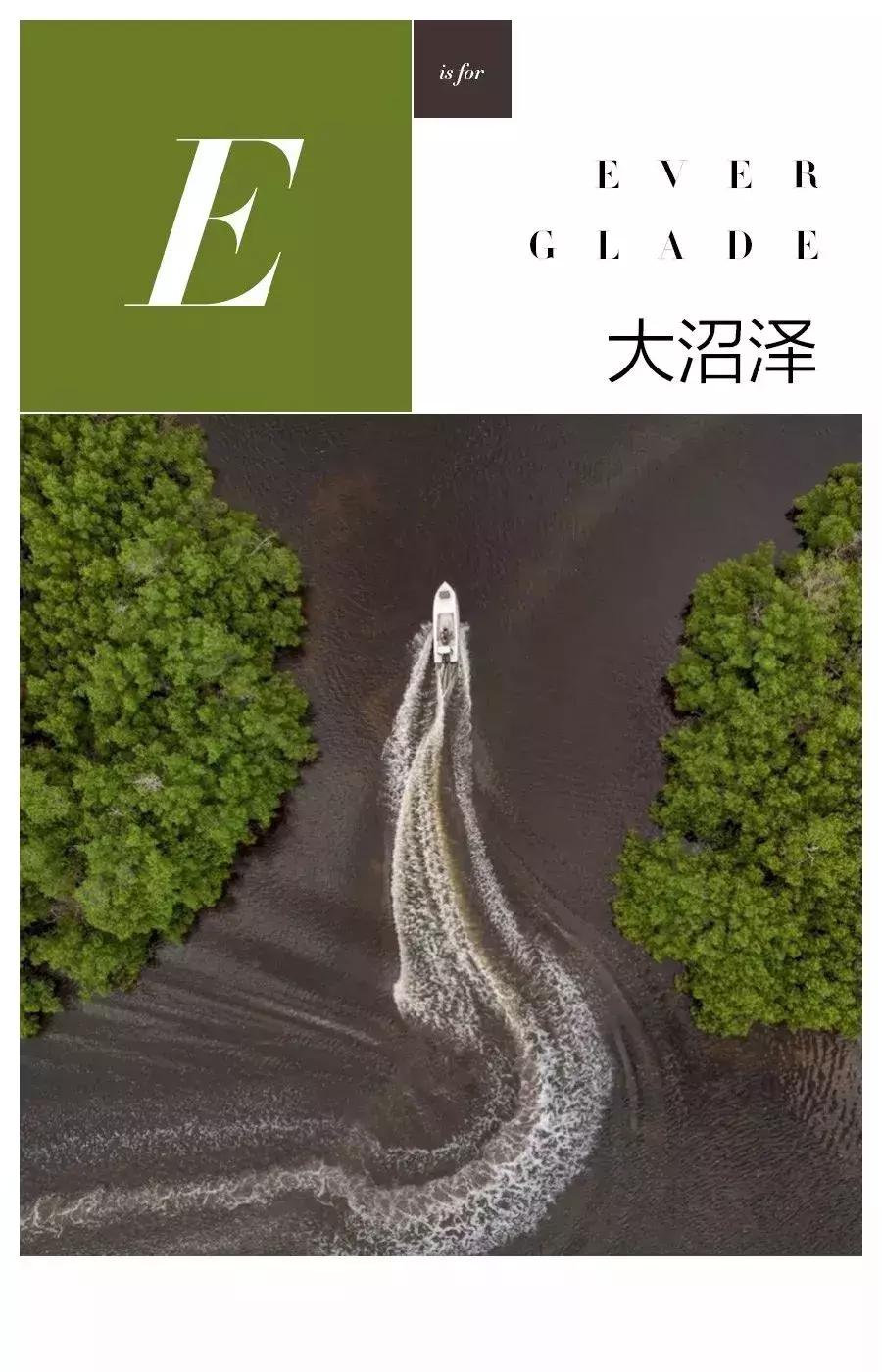 第五大道纽约,美国第五大道是一条街吗