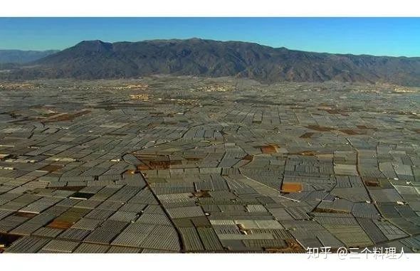 灞变笢鐨勮敩鑿滅粰鍝噷渚涚粰,灞变笢鐨勮敩鑿滈兘渚涘摢閲屼簡